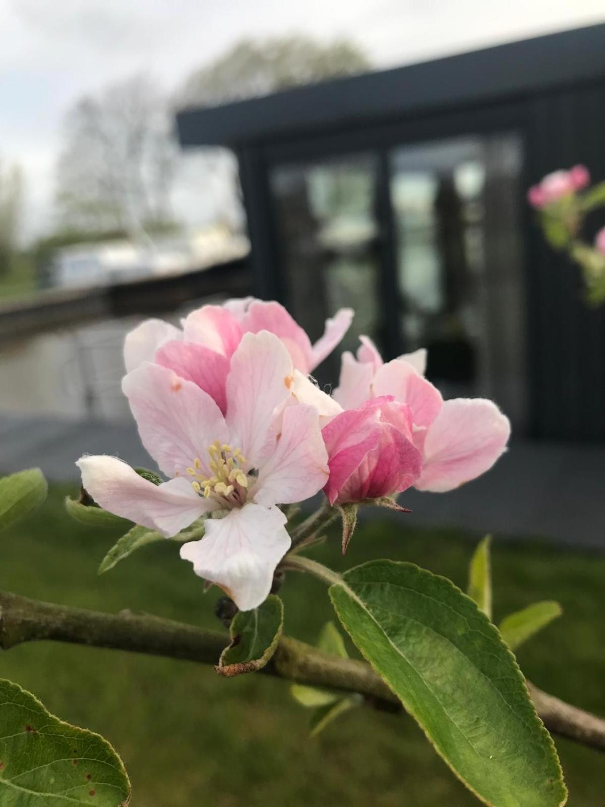 Wommels Uniek Overnachten In Een Tiny House Op De Appelhof מראה חיצוני תמונה